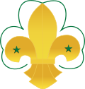 24 January: Boy Scout movement.