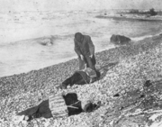 Bodies from Wexford washed ashore near Goderich, Ontario.