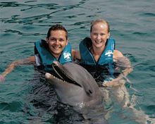 A young couple being entertained by a trained Bottlenose Dolphin in Puerto Plata, Dominican republic.