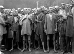 Starving prisoners in Mauthausen camp, Ebensee, Austria, liberated by the U.S. 80th Infantry Division on May 5, 1945.