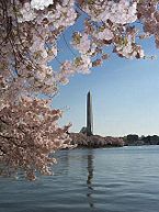 October 6: Washington Monument opens.