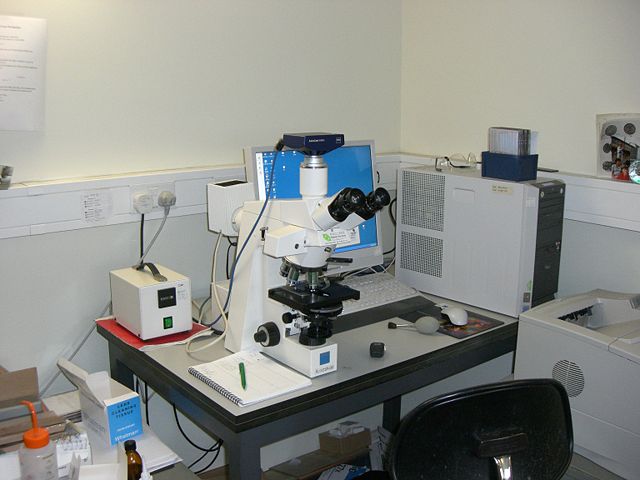 Image:Microscope And Digital Camera.JPG
