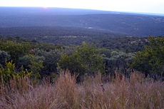 Bushveld habitat in Waterberg, South Africa