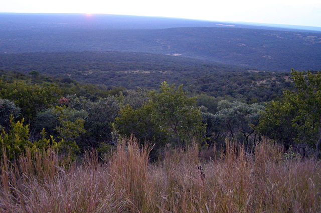 Image:Waterberg bushveld.jpg