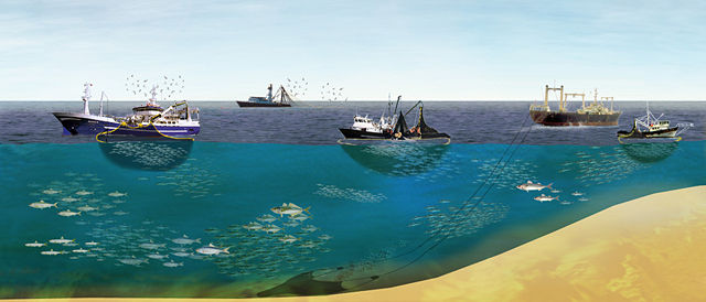 Image:East pacific fishing.jpg