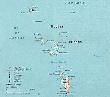 The Nicobar Islands, three of which – Great Nicobar, Little Nicobar, and Katchal Island– provide the natural habitat for these macaques