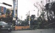 Toppled trees blocked hundreds of streets in Santo Domingo