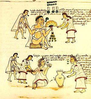 A painting from Codex Mendoza showing elder Aztecs being given intoxicants.