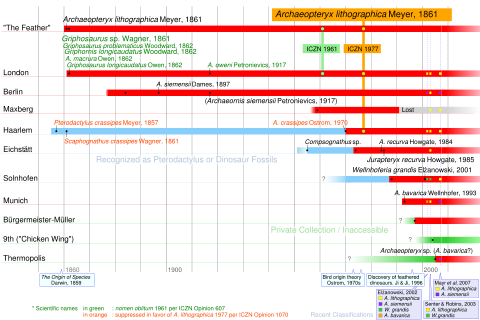 Timeline of Archaeopteryx discoveries. (Click to enlarge)