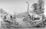 An outmoded depiction of Diplodocus by Oliver P. Hay (1910), with a high head and sprawled limbs