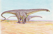 Illustration of two Diplodocus.