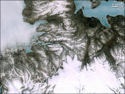 Landsat 7 photo of Ellesmere Island with the discovery site marked