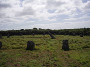 Boscawen-Un stone circle near St Buryan