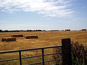 farmland cut for hay in St Buryan parish