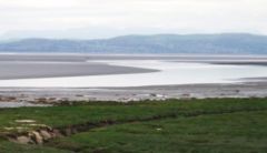 Morecambe Bay at low tide from Hest Bank, looking towards Grange-over-Sands.