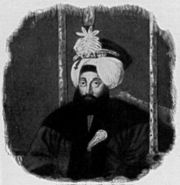 Sultan Mahmud II's actions were the catalyst for the Bosnian autonomy movement.