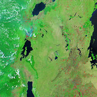Image of the region between Lake Victoria (on the right) and Lakes Albert, Kivu and Tanganyika (from north to south) showing dense vegetation (bright green) and fires (red)