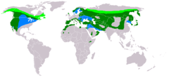 Light green  = Breeding only Blue = Wintering only  Dark green = All-year