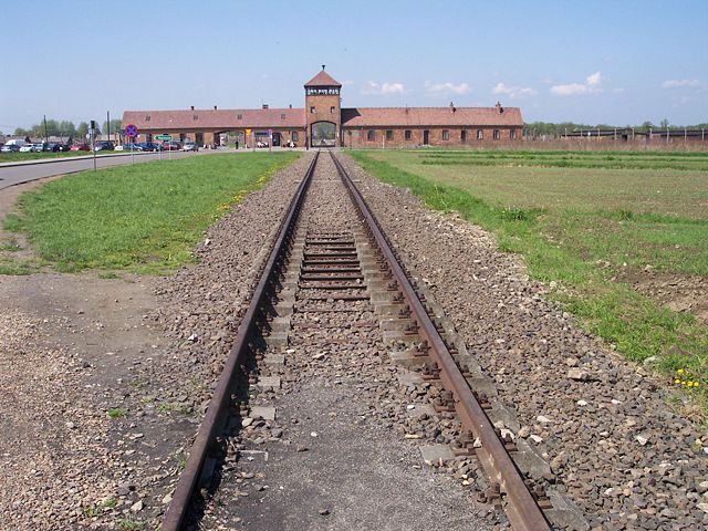 Image:Rail leading to Auschwitz II (Birkenau).jpg