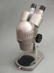 A stereo microscope is often used for lower-power magnification on large subjects.