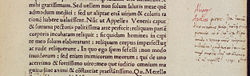 A margin note by Agostino Vespucci from October 1503 in a book in the library of the University of Heidelberg identifies Lisa del Giocondo as the subject of Mona Lisa