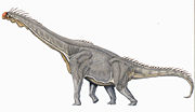 Brachiosaurus altithorax.