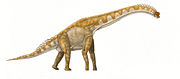 Illustration of a Giraffatitan (Brachiosaurus brancai).