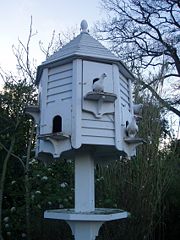 Doves in a dove house
