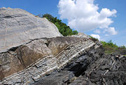 Ordovician-Silurian boundary exposed on Hovedøya, Norway, showing the very marked difference between the light gray Ordovician calcareous sandstone and brown Silurian mudstone. The layers have been inverted (overturned) by the Caledonian orogeny.