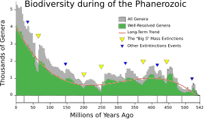 Total Phanerozoic biodiversity during the same interval.  Note that this is a result of changes in both the rate of extinctions and the rate of new originations.  The Dresbachian extinction event in particular is obscured by nearly immediate replacement with new genera.