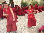Young Tibetan Buddhist monks of Drepung