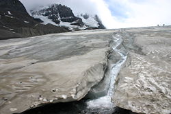 Fast-melting toe of the Athabasca Glacier, 2005