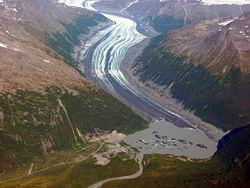Valdez Glacier has thinned 90 m (300 ft) over the last century and the barren ground near the glacial margins have been exposed due to the glacier thinning and retreating over the last two decades of the 20th century.(Pelto5)