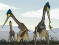 Fossil trackways show that pterosaurs like Quetzalcoatlus northropi were quadrupeds.