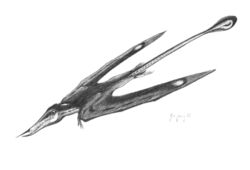 Rhamphorhynchus, a well-known "rhamphorhynchoid" from the Late Jurassic.