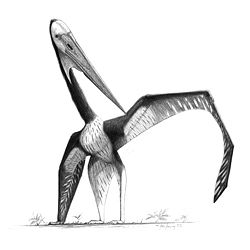 Zhejiangopterus, an azhdarchid from the Cretaceous of China.