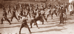 Qing troops training in Western drill