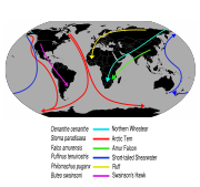 Some migration routes