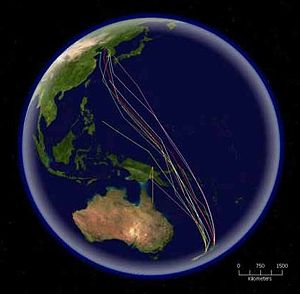 The routes of satellite tagged Bar-tailed Godwits migrating north from New Zealand. This species has the longest known non-stop migration of any species, up to 10,200 km (6,300 mi).