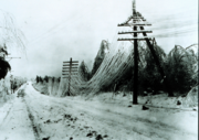 Coated in ice, power and telephone lines sag and often break, resulting in power outages.