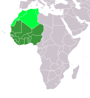      Western Africa (UN subregion)      Maghreb