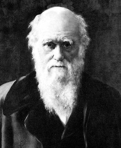 Image:Charles Darwin 1881.jpg