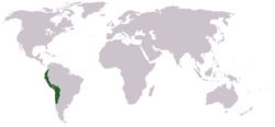 Location of Inca Empire