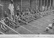 Child Labour in Kamerun during 1919