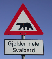 The unique road sign only found on Svalbard, informing people to take precautions when outside the settlements. The text reads "Applies to the whole of Svalbard"