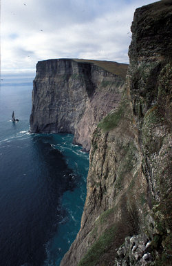 Stappen bird cliff at Bear Island