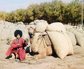 A native Turkmen man in traditional dress with his dromedary camel in Turkmenistan, circa 1915.