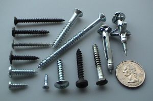 Screws come in a variety of shapes and sizes for different purposes. U.S. quarter coin (diameter 24 mm) shown for scale.