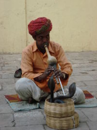 Snake charmer in Jaipur (India) in 2007