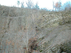 Figure 2. The Junction fault, dividing the Allegheny Plateau and the true Appalachian Mountains in Pennsylvania.